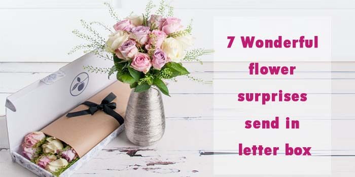 7 Wonderful flower surprises send in letter box